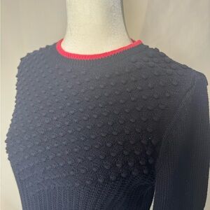 Pink and Navy Blue Knit Pompom Pullover Sweater | Talbots Navy Sweater S